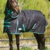 Weatherbeeta Green-Tec 900D Detach-A-Neck Medium Turnout - Black/Bottle Green -Lemieux Equestrian Supplies Shop greentechdanmedrdy