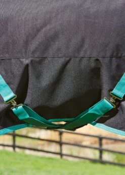 Weatherbeeta Green-Tec 900D Detach-A-Neck Heavy Turnout - Black/Bottle Green 14 Weatherbeeta Green-Tec 900D Detach-A-Neck Heavy Turnout - Black/Bottle Green -Lemieux Equestrian Supplies Shop greentechfeatures1rdy