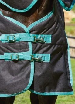 Weatherbeeta Green-Tec 900D Detach-A-Neck Heavy Turnout - Black/Bottle Green 11 Weatherbeeta Green-Tec 900D Detach-A-Neck Heavy Turnout - Black/Bottle Green -Lemieux Equestrian Supplies Shop greentechfeatures5rrdy