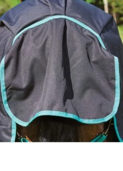 Weatherbeeta Green-Tec 900D Detach-A-Neck Heavy Turnout - Black/Bottle Green 15 Weatherbeeta Green-Tec 900D Detach-A-Neck Heavy Turnout - Black/Bottle Green -Lemieux Equestrian Supplies Shop greentechfeatures6rdy