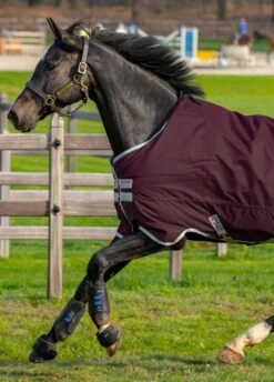 Amigo Hero Ripstop 50g - Fig -Lemieux Equestrian Supplies Shop hero50fig2rdy