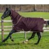 Amigo Hero Ripstop Plus 100g - Fig -Lemieux Equestrian Supplies Shop heroplus100figrdy