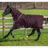 Amigo Hero Ripstop Plus Turnout Rug Lite 0g - Fig -Lemieux Equestrian Supplies Shop heroripstoppluslite0gfigrdy