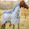 Amigo AmECO Combi Fly Rug - Teal/Grey -Lemieux Equestrian Supplies Shop horseware ameco fly tealgrey 1rdy