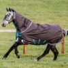 Amigo Bravo 12 Plus Turnout Disc Front Lite 0g - Excalibur -Lemieux Equestrian Supplies Shop horseware bravo lite excalibur 1rdy