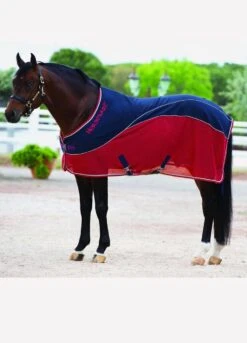 Rambo Sport Cooler - Navy/Red/Grey