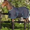 Horseware Ripstop Foal Rug - Navy/Electric 1 Horseware Ripstop Foal Rug - Navy/Electric -Lemieux Equestrian Supplies Shop hwfoalrugnavyelectric1rdy
