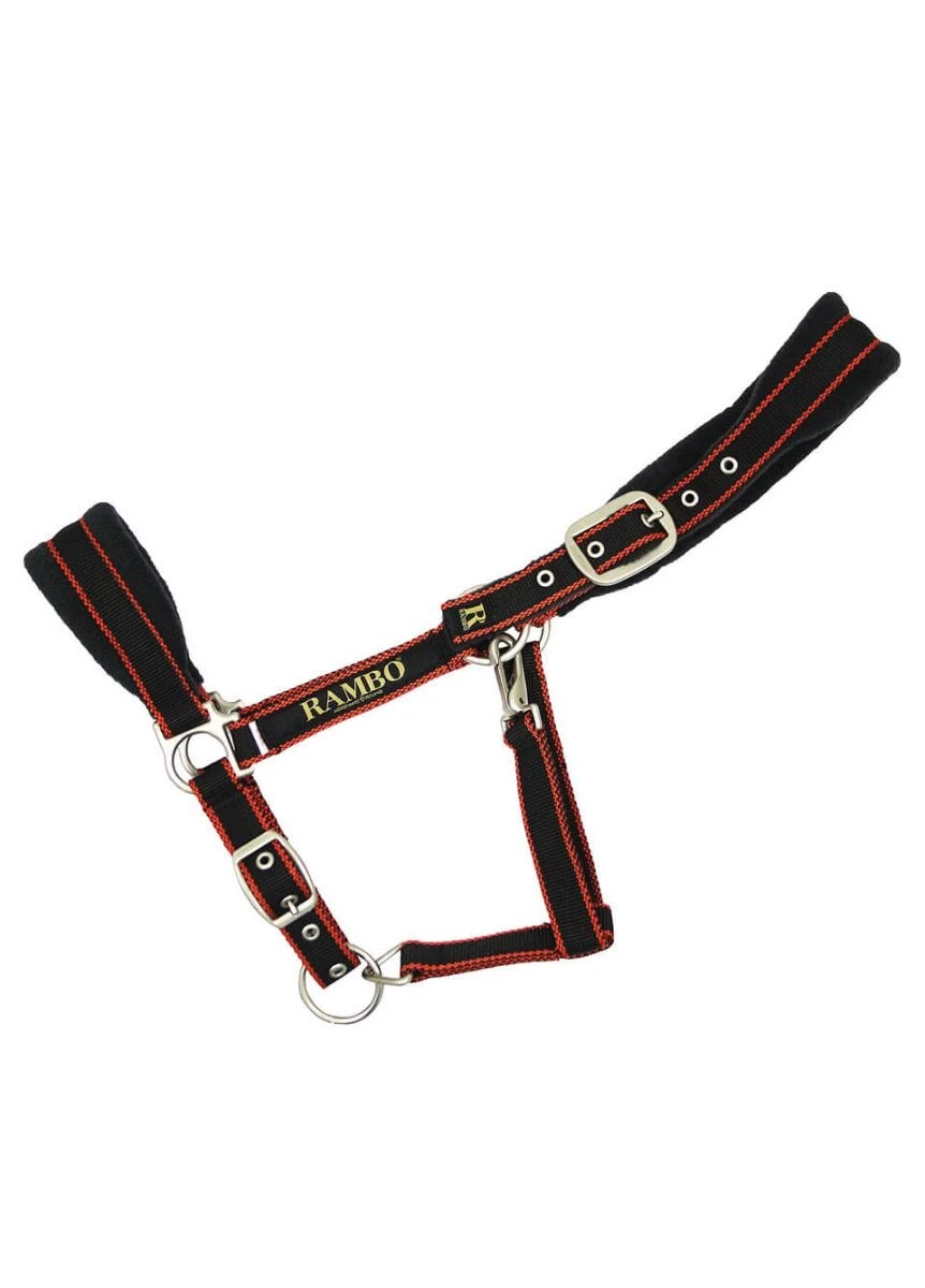 Rambo Padded Headcollar - Black/Tan/Orange 4 Rambo Padded Headcollar - Black/Tan/Orange - Image 2