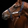 Horseware Fieldsafe Headcollar - Navy 1 Horseware Fieldsafe Headcollar - Navy -Lemieux Equestrian Supplies Shop hwheadcollarnavy1rdy