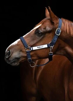 Horseware Fieldsafe Headcollar - Navy