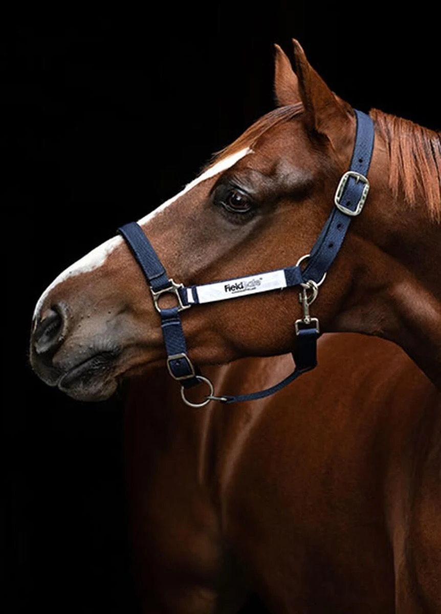 Horseware Fieldsafe Headcollar - Navy 3 Horseware Fieldsafe Headcollar - Navy