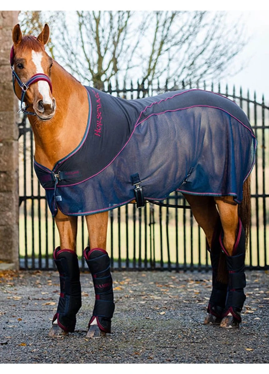 Rambo Sport Cooler - Navy/Burgundy 3 Rambo Sport Cooler - Navy/Burgundy