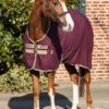 Amigo Stable Sheet - Fig -Lemieux Equestrian Supplies Shop hwstablesheetfigrdy