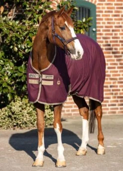 Amigo Stable Sheet - Fig