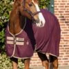 Amigo Jersey Cooler - Fig 1 Amigo Jersey Cooler - Fig -Lemieux Equestrian Supplies Shop jerseycoolfigrdy