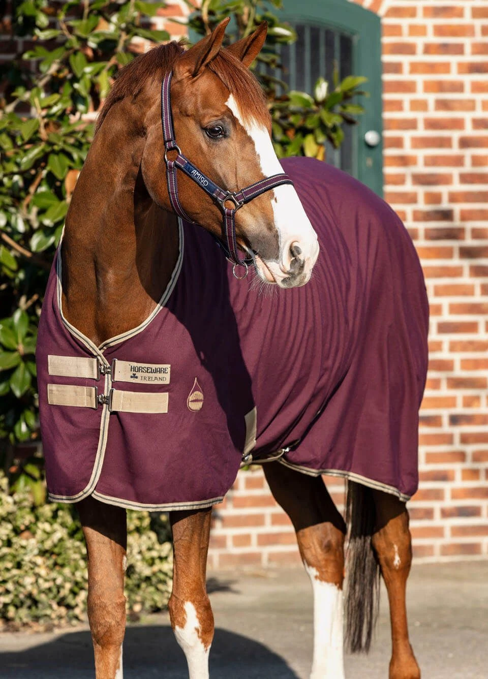 Amigo Jersey Cooler - Fig 3 Amigo Jersey Cooler - Fig