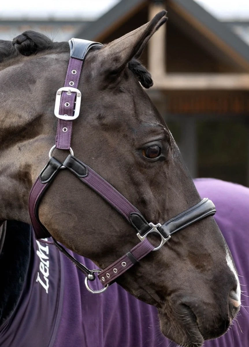 LeMieux Capella Headcollar - Fig 3 LeMieux Capella Headcollar - Fig