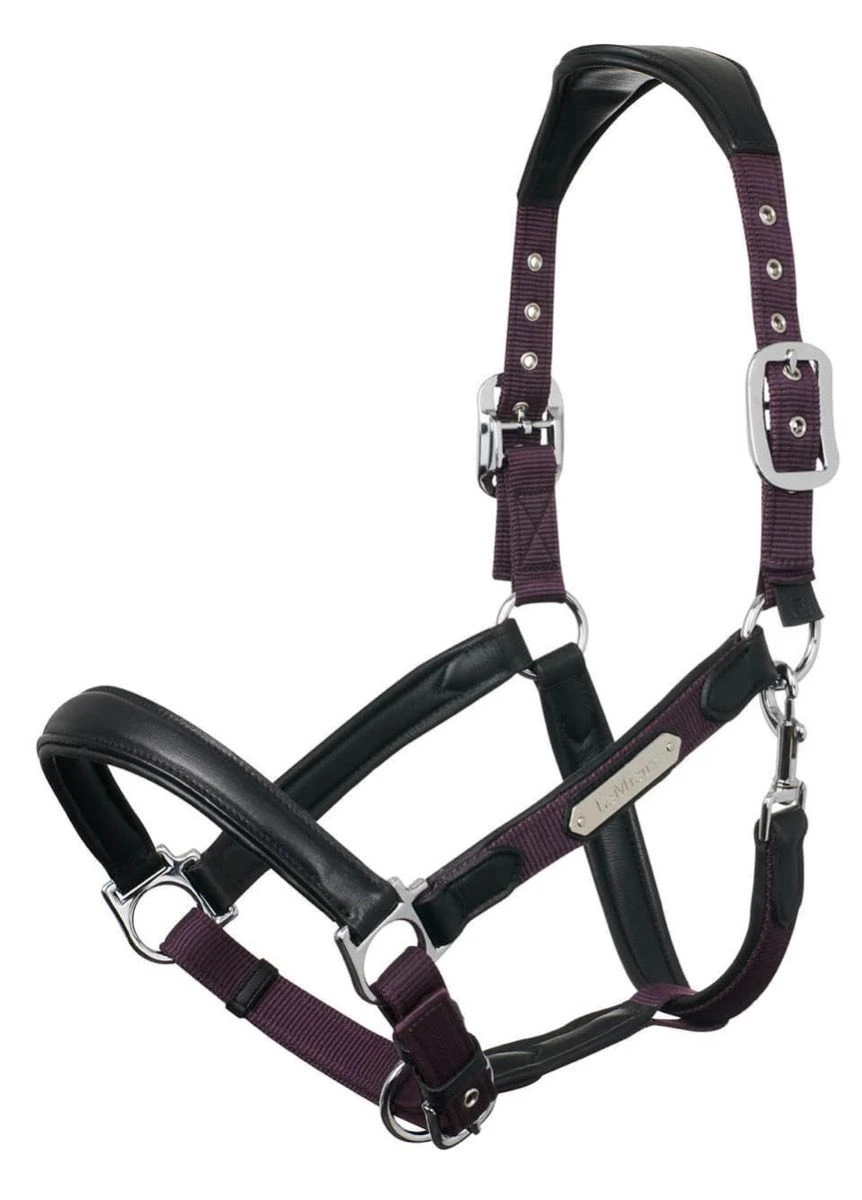 LeMieux Capella Headcollar - Fig 4 LeMieux Capella Headcollar - Fig - Image 2