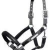 LeMieux Capella Headcollar - Grey
