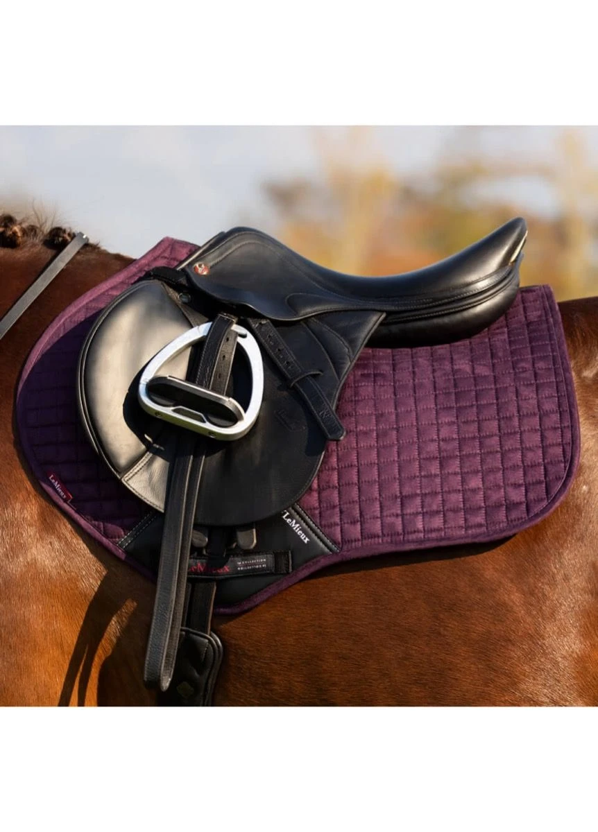 LeMieux Suede CC Square - Fig 4 LeMieux Suede CC Square - Fig - Image 2