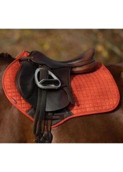 Lemieux Equestrian Supplies Shop -Lemieux Equestrian Supplies Shop lemieux cc pad sienna 2rdy