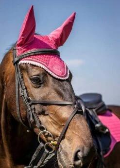 LeMieux Classic Fly Hood - Watermelon -Lemieux Equestrian Supplies Shop lemieux fly hood watermelon 3rdy