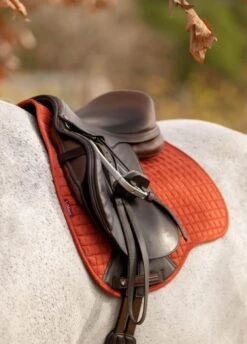 Lemieux Equestrian Supplies Shop -Lemieux Equestrian Supplies Shop lemieux gp pad sienna 2rdy 1
