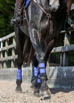 LeMieux Grafter Brushing Boots - Bluebell -Lemieux Equestrian Supplies Shop lemieux grafter boot bluebell 7rdy