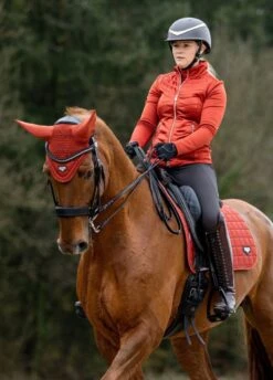 LeMieux Loire Classic Dressage Square - Sienna 5 LeMieux Loire Classic Dressage Square - Sienna -Lemieux Equestrian Supplies Shop lemieux loire dressage sienna 2rdy