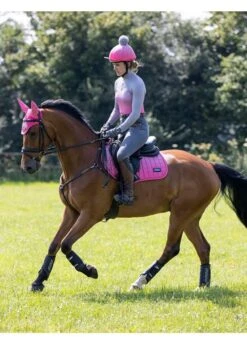 Lemieux Equestrian Supplies Shop -Lemieux Equestrian Supplies Shop lemieux spectrum watermelon 2rdy