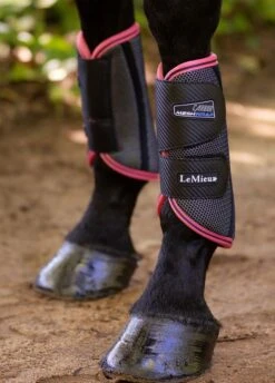 LeMieux Carbon Mesh Wrap Boots - Black/Papaya -Lemieux Equestrian Supplies Shop lemiex carbon mesh boot papaya 4rdy