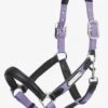 LeMieux Capella Headcollar - Iris -Lemieux Equestrian Supplies Shop lm capella iris 1rdy