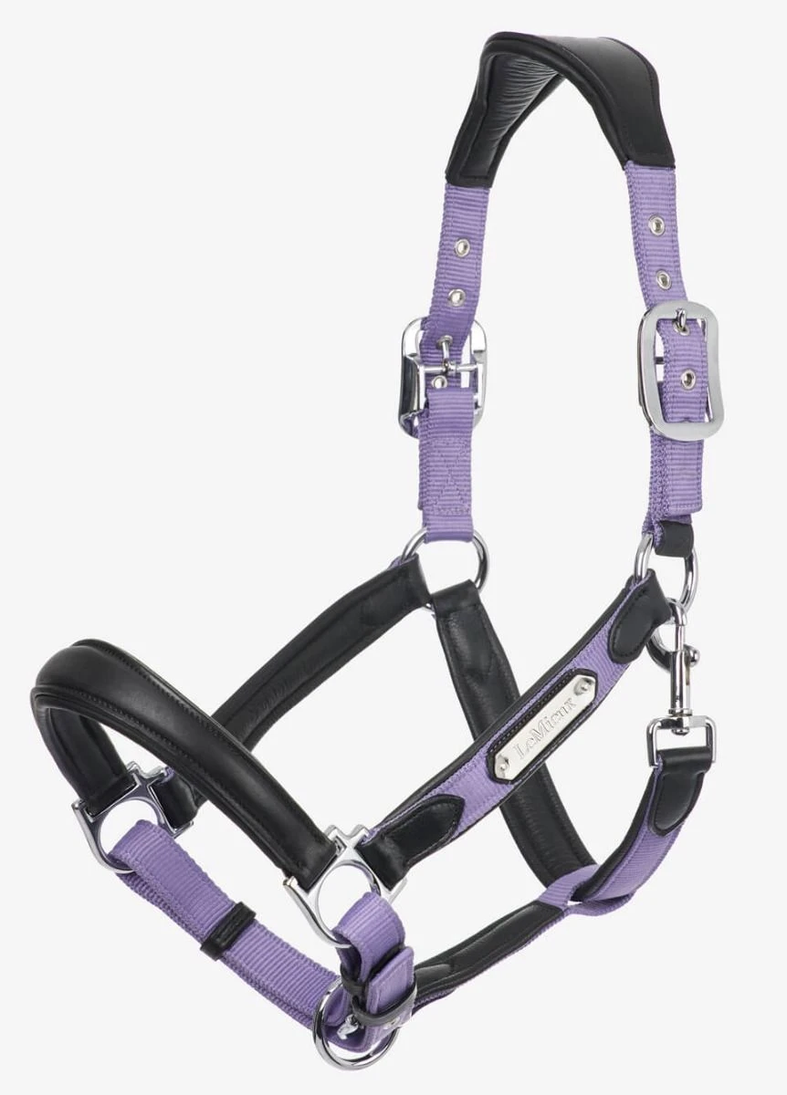 LeMieux Capella Headcollar - Iris 3 LeMieux Capella Headcollar - Iris