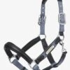 LeMieux Capella Headcollar - Jay Blue -Lemieux Equestrian Supplies Shop lm capella jayblue 1rdy