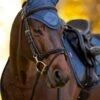 LeMieux Classic Fly Hood - Atlantic -Lemieux Equestrian Supplies Shop lm fly hood atlantic 1rdy