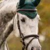 LeMieux Classic Fly Hood - Spruce -Lemieux Equestrian Supplies Shop lm fly hood spruce 1rdy