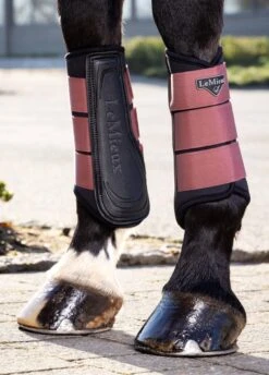 Lemieux Equestrian Supplies Shop 34 Lemieux Equestrian Supplies Shop -Lemieux Equestrian Supplies Shop lm grafter orchid 2rdy