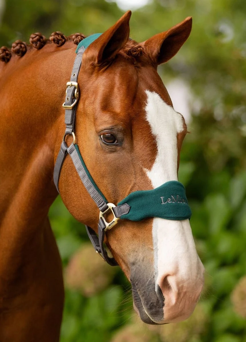 LeMieux Vogue Fleece Headcollar & Leadrope - Spruce 4 LeMieux Vogue Fleece Headcollar & Leadrope - Spruce - Image 2