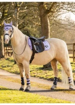 LeMieux Junior Loire Fly Hood - Wisteria -Lemieux Equestrian Supplies Shop lm jr fly hood wisteria 2rdy