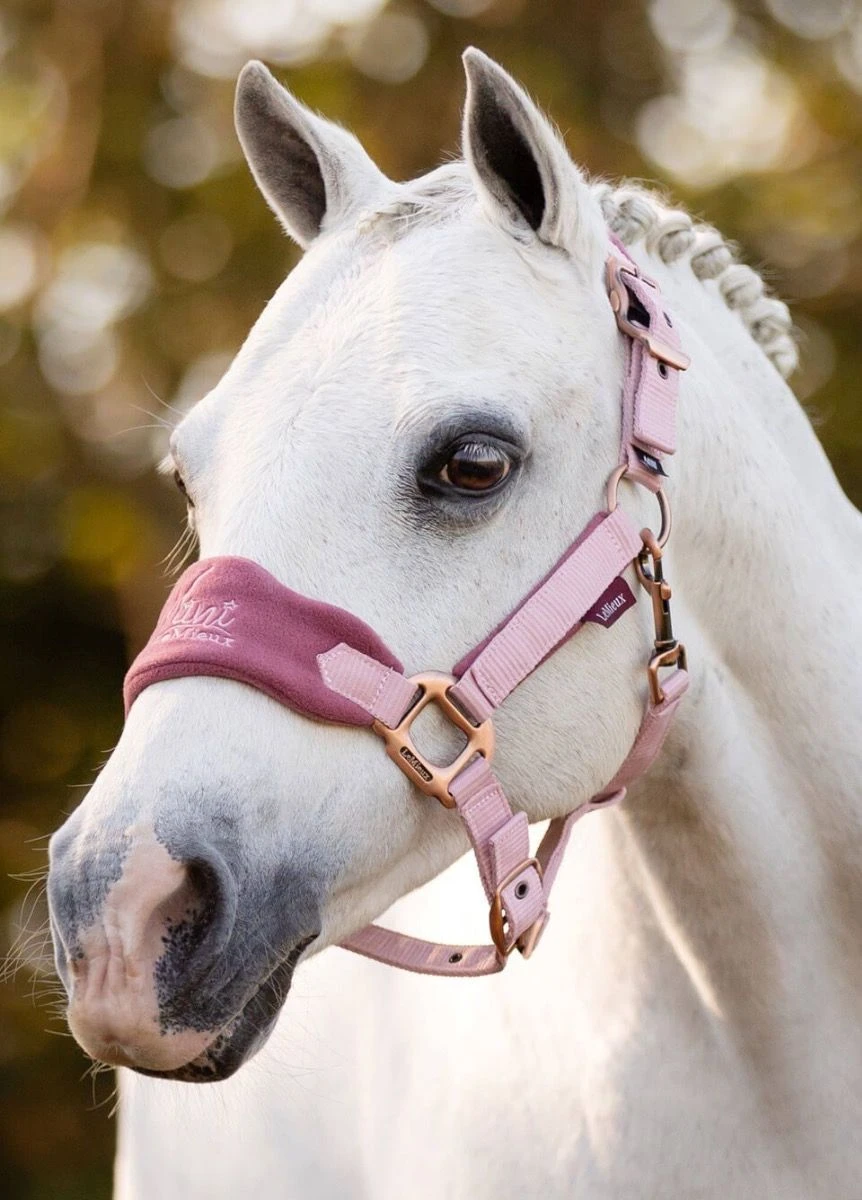LeMieux Mini Vogue Headcollar & Leadrope - Pink Quartz 4 LeMieux Mini Vogue Headcollar & Leadrope - Pink Quartz - Image 2