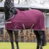 LeMieux Arika Air-Tek Sheet - Burgundy -Lemieux Equestrian Supplies Shop lmarikaairburgundyrdy