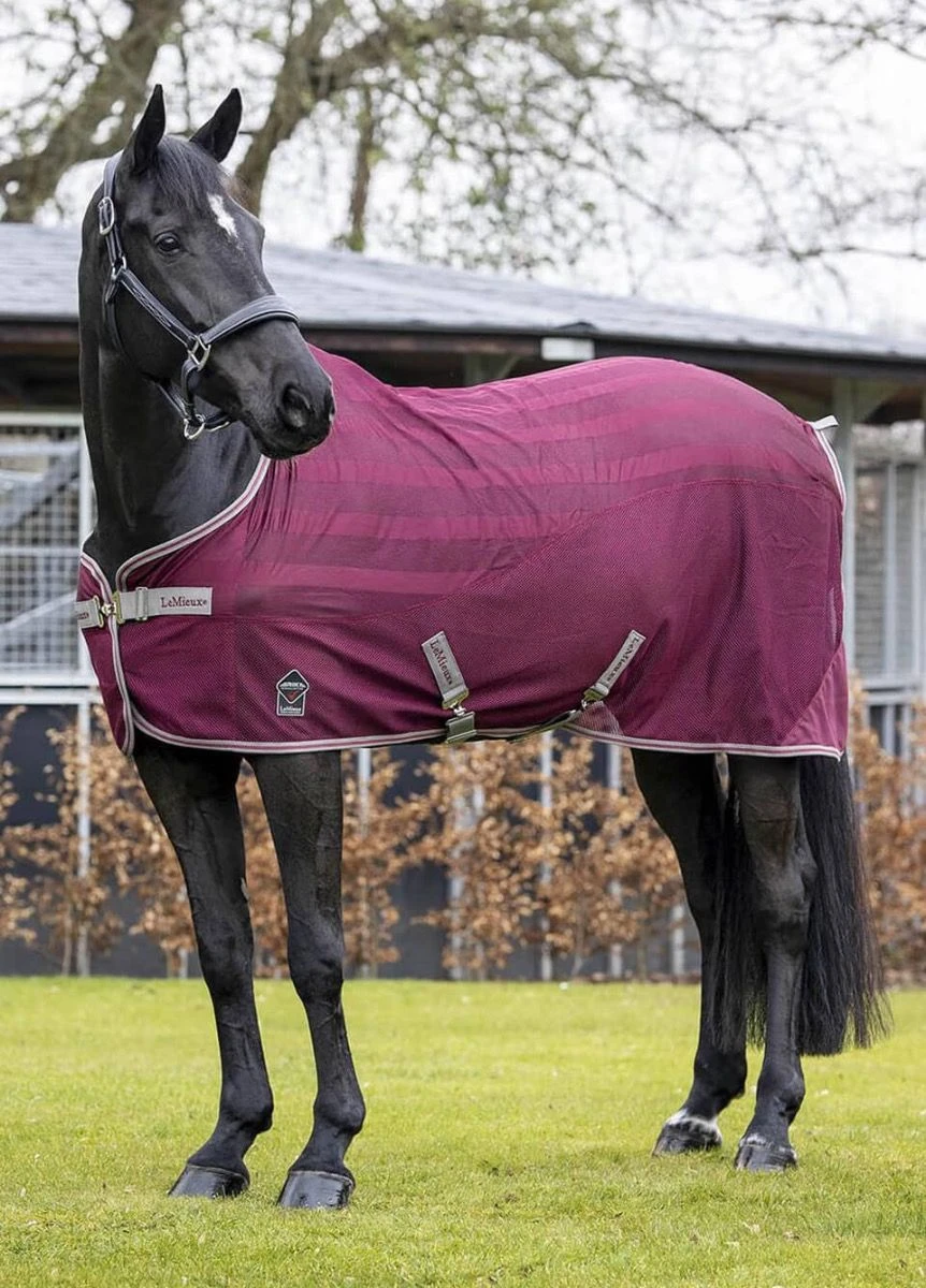 LeMieux Arika Air-Tek Sheet - Burgundy 3 LeMieux Arika Air-Tek Sheet - Burgundy