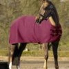 LeMieux Arika Clima-Tek Rug - Burgundy