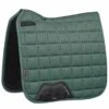 LeMieux Carbon Mesh Dressage Square - Sage -Lemieux Equestrian Supplies Shop lmdresssage1rdy