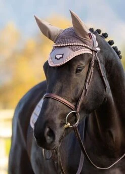 LeMieux Loire Fly Hood - Truffle -Lemieux Equestrian Supplies Shop lmflyhoodtruffle2rdy