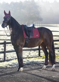 LeMieux Loire Classic Dressage Square - Rioja -Lemieux Equestrian Supplies Shop lmloiredressrioja3rdy