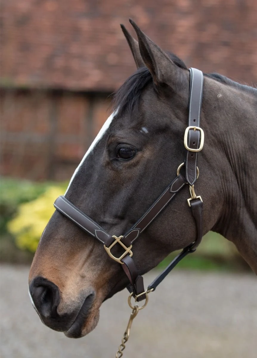 Mark Todd Leather Headcollar - Havana/White 3 Mark Todd Leather Headcollar - Havana/White