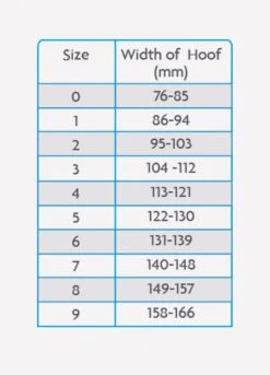 Woof Wear Medical Hoof Boot - Blue -Lemieux Equestrian Supplies Shop medicalhoofchartrdy