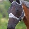 Shires Fine Mesh Fly Mask With Ears & Nose - Black 1 Shires Fine Mesh Fly Mask With Ears & Nose - Black -Lemieux Equestrian Supplies Shop meshmaskearsandnose2