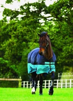 Mio Turnout Medium - Black/turquoise